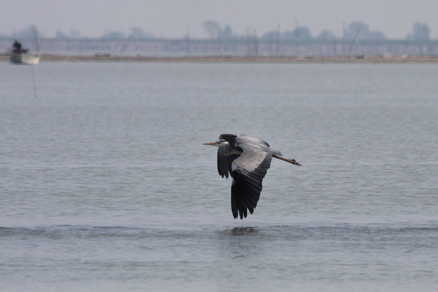gita nel delta del Po